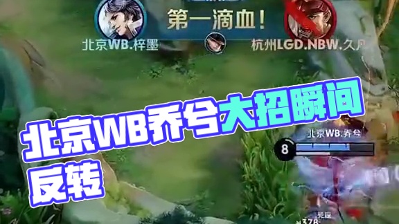 球队构架的 球队构架的